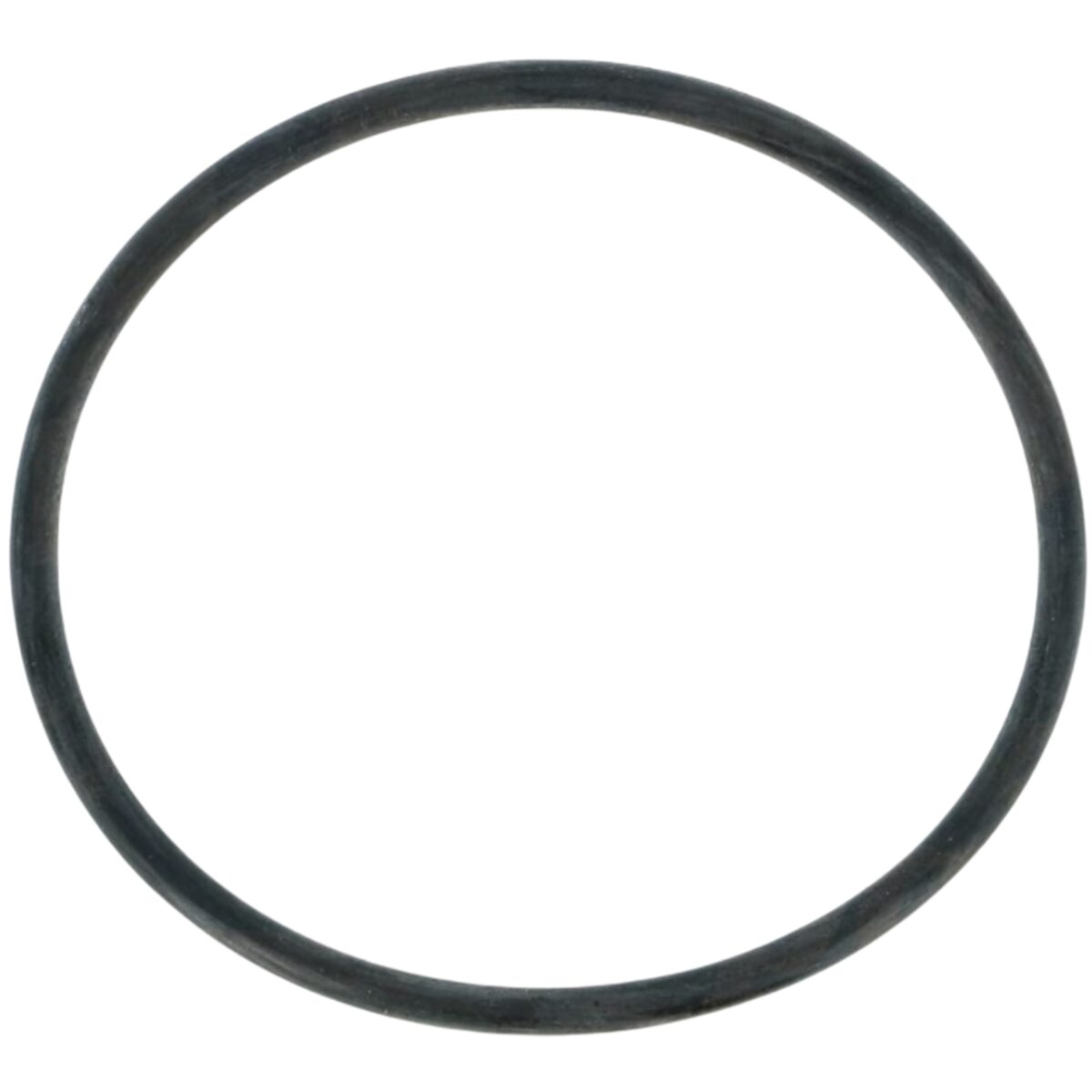 Guarnizione coperchio ricambio per pompa piscina Nocchi Swimmey Pentair