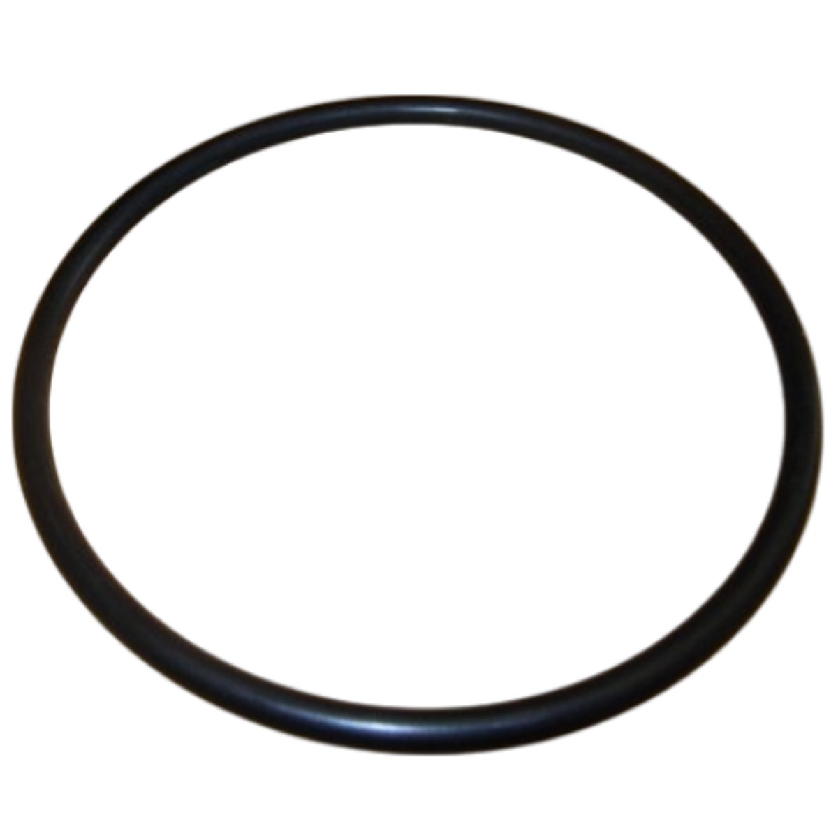 Guarnizione coperchio ricambio per pompa piscina Ondina Kripsol