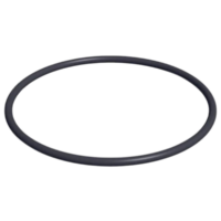 Guarnizione coperchio ricambio per pompa piscina Powerflo Hayward