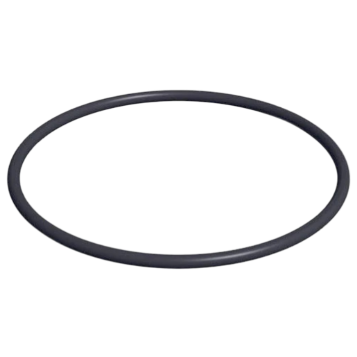 Guarnizione coperchio ricambio per pompa piscina Powerflo Hayward