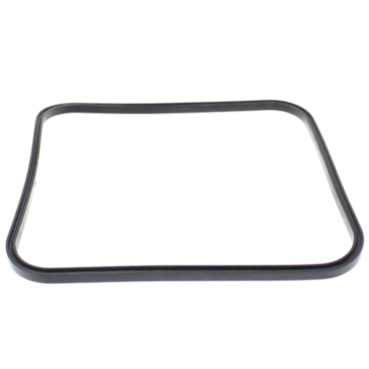 Guarnizione coperchio ricambio per pompa piscina Super Pump Hayward