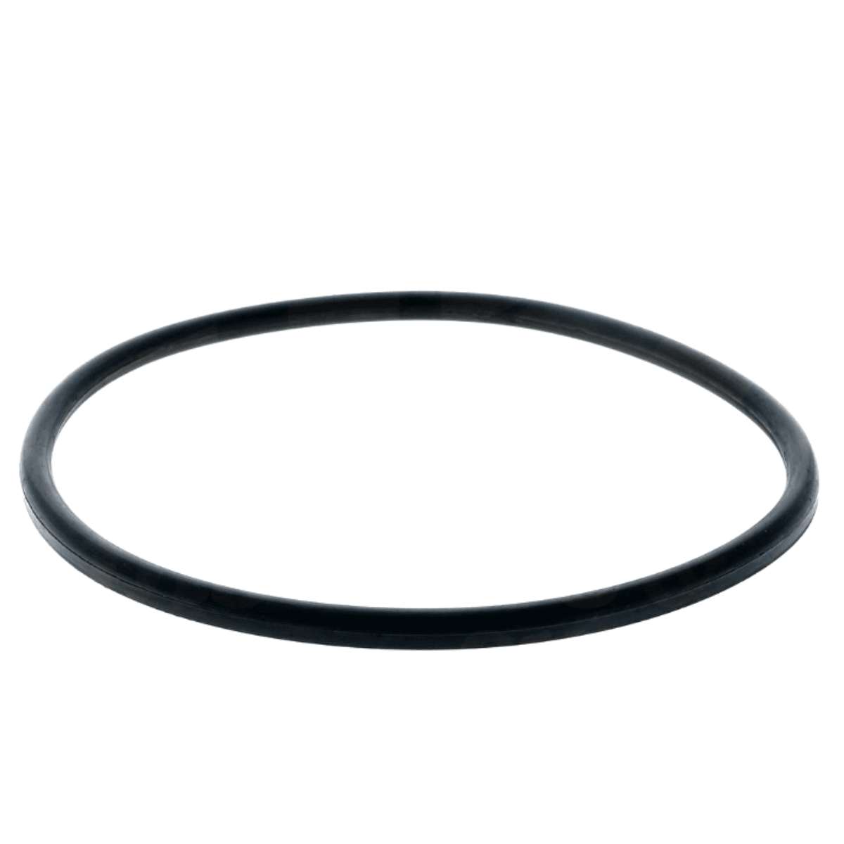 Guarnizione coperchio ricambio per pompe piscina Columbia, Glass Plus, Victoria Plus e Victoria Plus Silent Astralpool