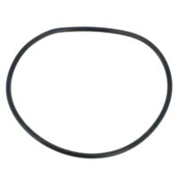 Guarnizione coperchio ricambio per pompa piscina Sena Astralpool