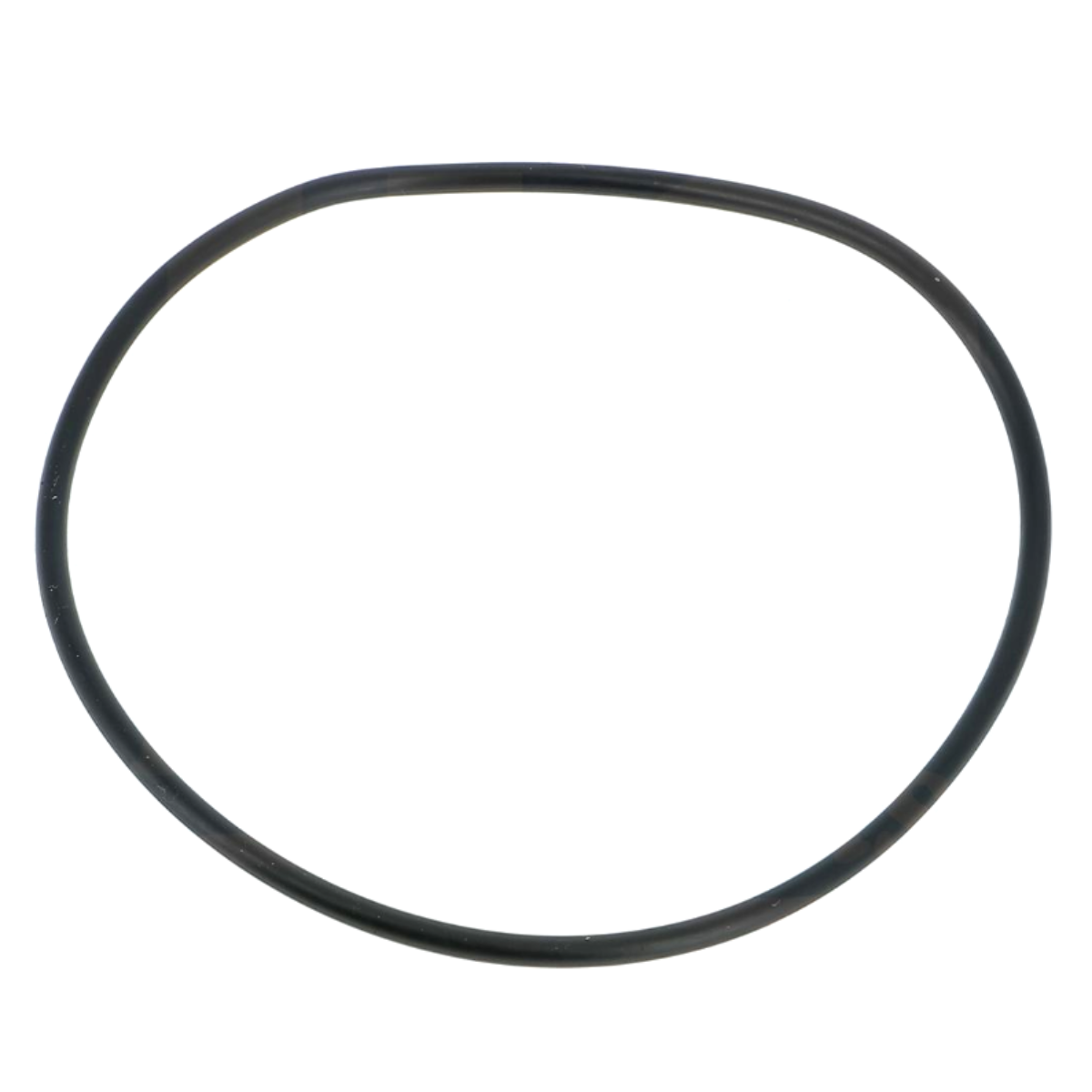 Guarnizione coperchio ricambio per pompa piscina Sena Astralpool