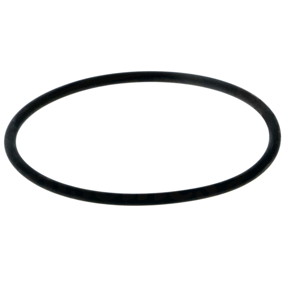 Guarnizione coperchio ricambio per pompe piscina Silen e Silen S Espa