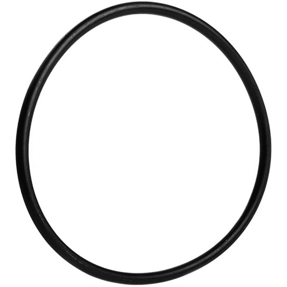 Guarnizione coperchio ricambio per pompe piscina Sta-Rite 5P2R e La Sta-Rite Pentair