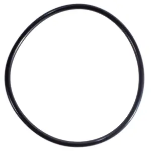 Guarnizione coperchio ricambio per pompe piscina Sta-Rite 5P6R e La Sta-Rite HD Pentair