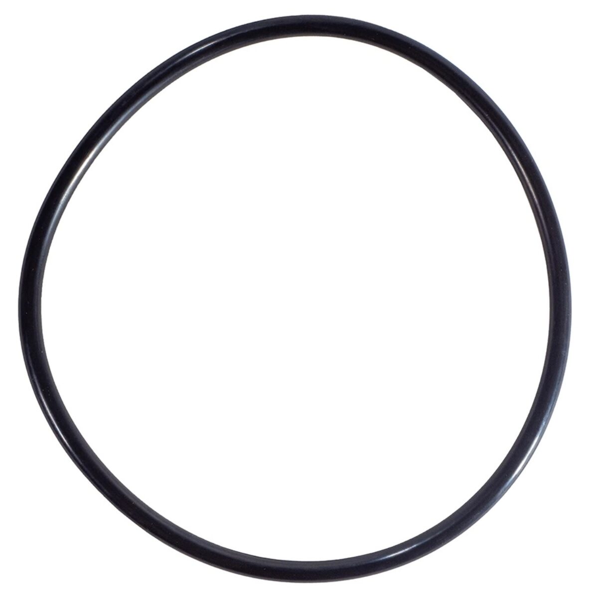 Guarnizione coperchio ricambio per pompe piscina Sta-Rite 5P6R e La Sta-Rite HD Pentair