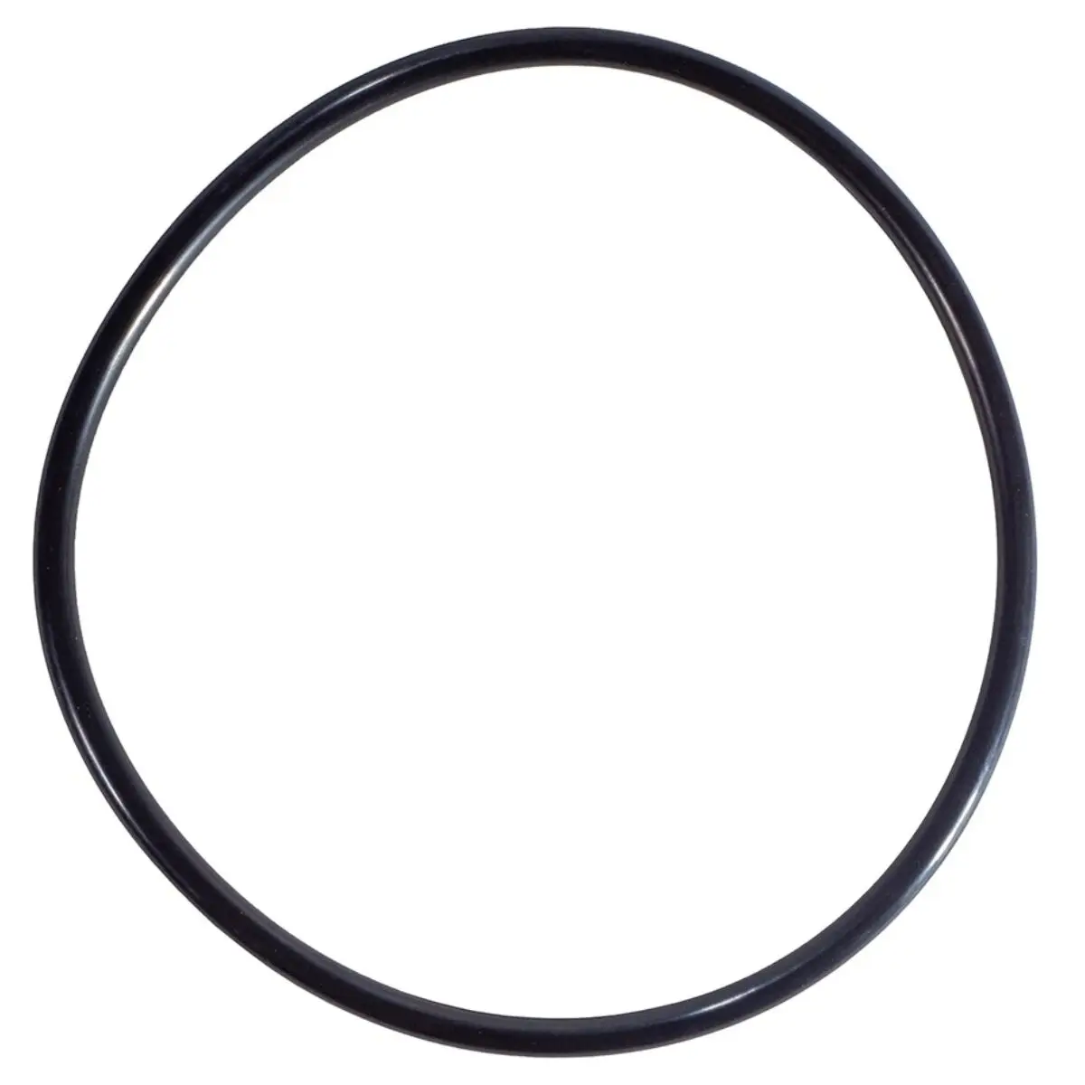Guarnizione coperchio ricambio per pompe piscina Sta-Rite 5P6R e La Sta-Rite HD Pentair