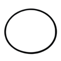 Guarnizione corpo unione ricambio per pompa piscina Maxim Astralpool