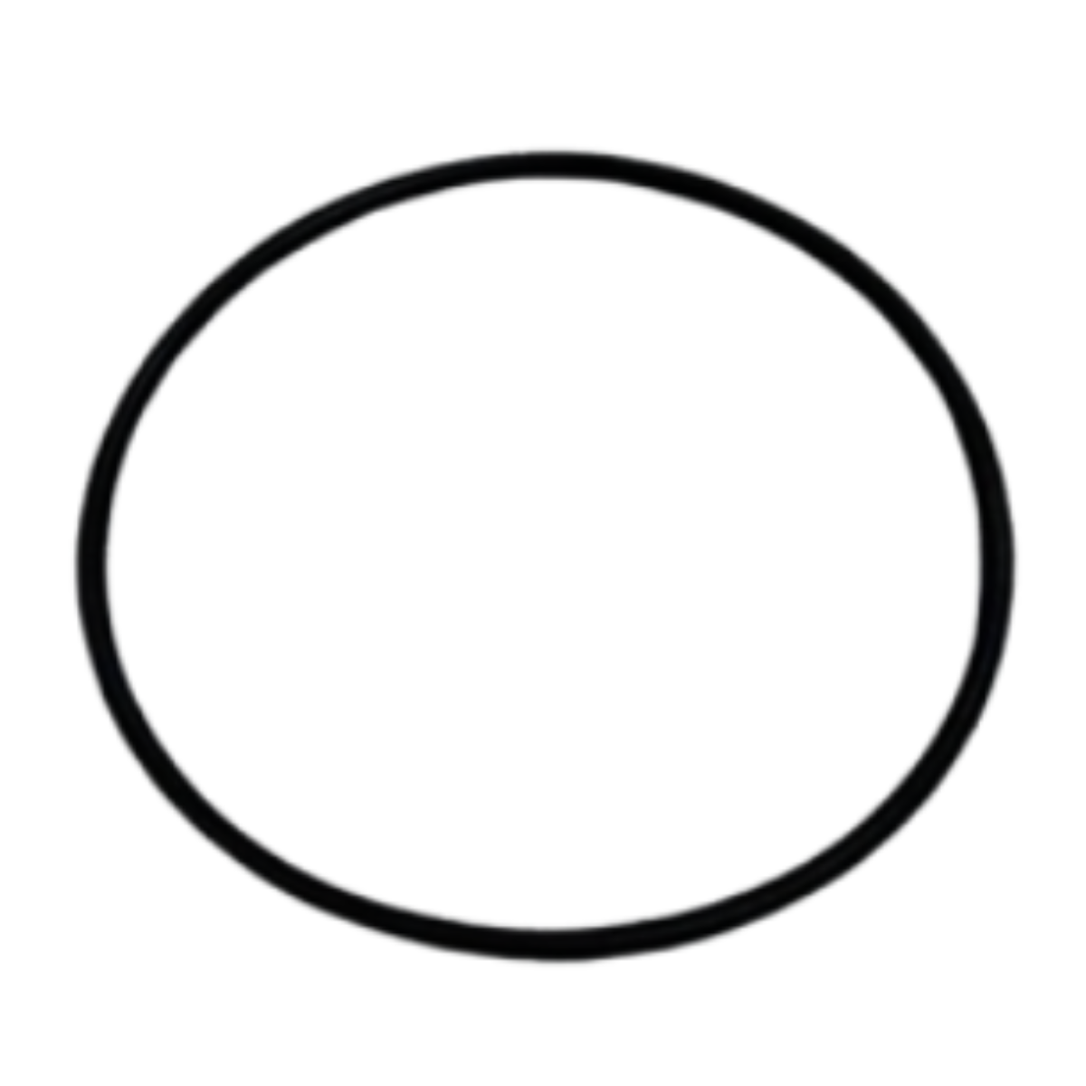 Guarnizione corpo unione ricambio per pompa piscina Maxim Astralpool