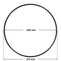 Guarnizione corpo unione ricambio per pompa piscina Ondina Kripsol con quote dimensionali: diametro esterno 173 mm e diametro interno 169 mm.