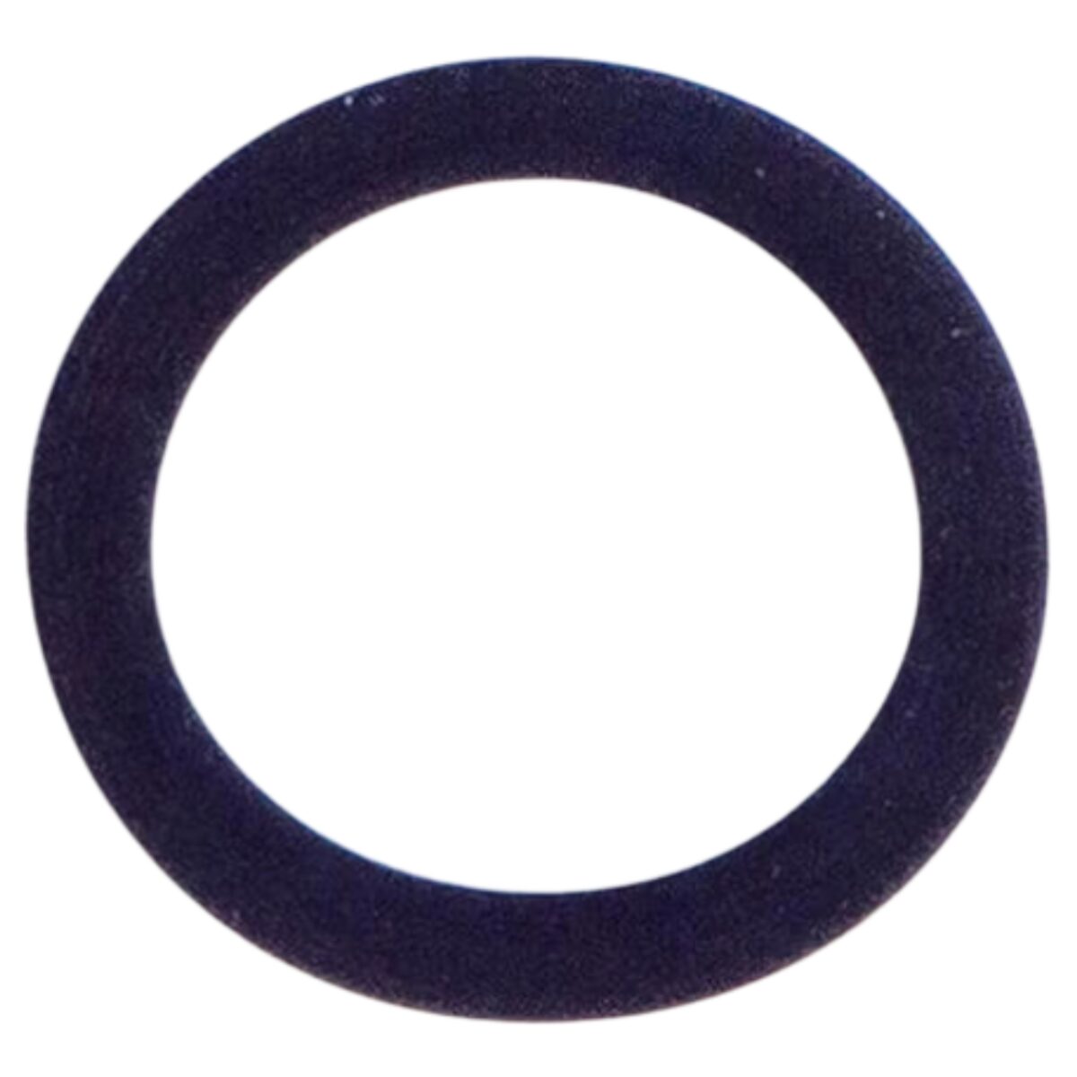 Guarnizione deflettrice ricambio per pompa piscina Victoria Plus Silent Astralpool