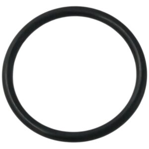 Guarnizione diffusore ricambio per pompa piscina Winner Saci