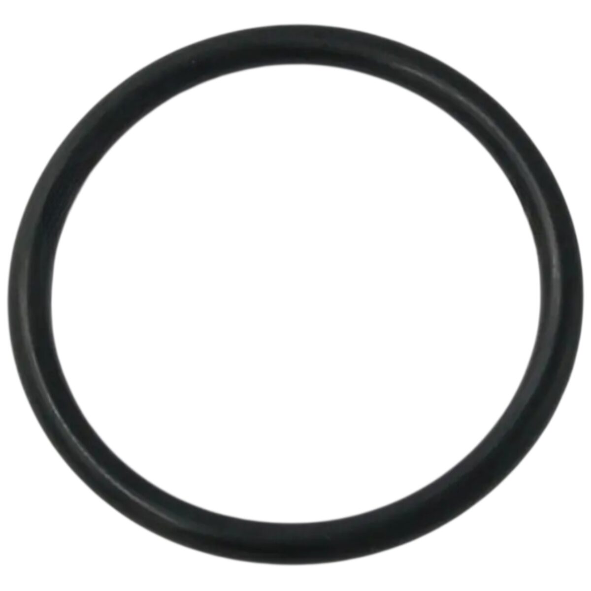 Guarnizione diffusore ricambio per pompa piscina Winner Saci