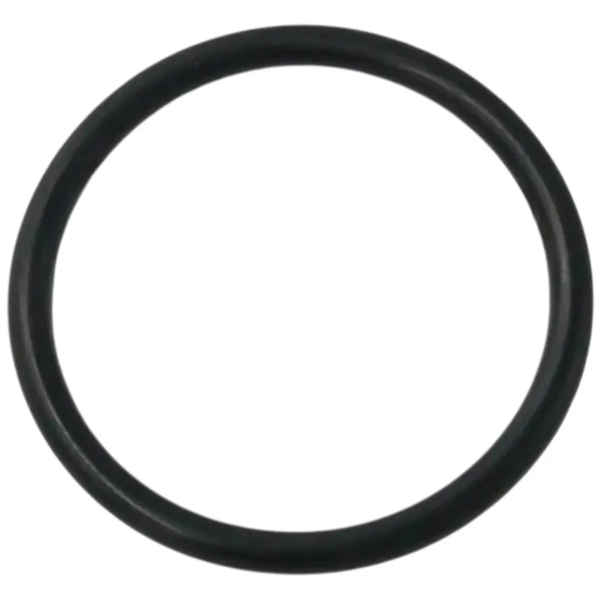 Guarnizione diffusore ricambio per pompa piscina Winner Saci