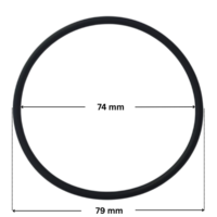 Guarnizione diffusore ricambio per pompe piscina Challenger Pentair con quote dimensionali: diametro interno 74 mm e diametro esterno 79 mm.