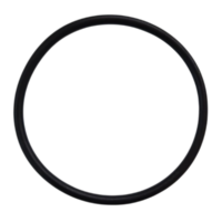 Guarnizione diffusore ricambio per pompe piscina Sta-Rite 5P2R e La Sta-Rite Pentair