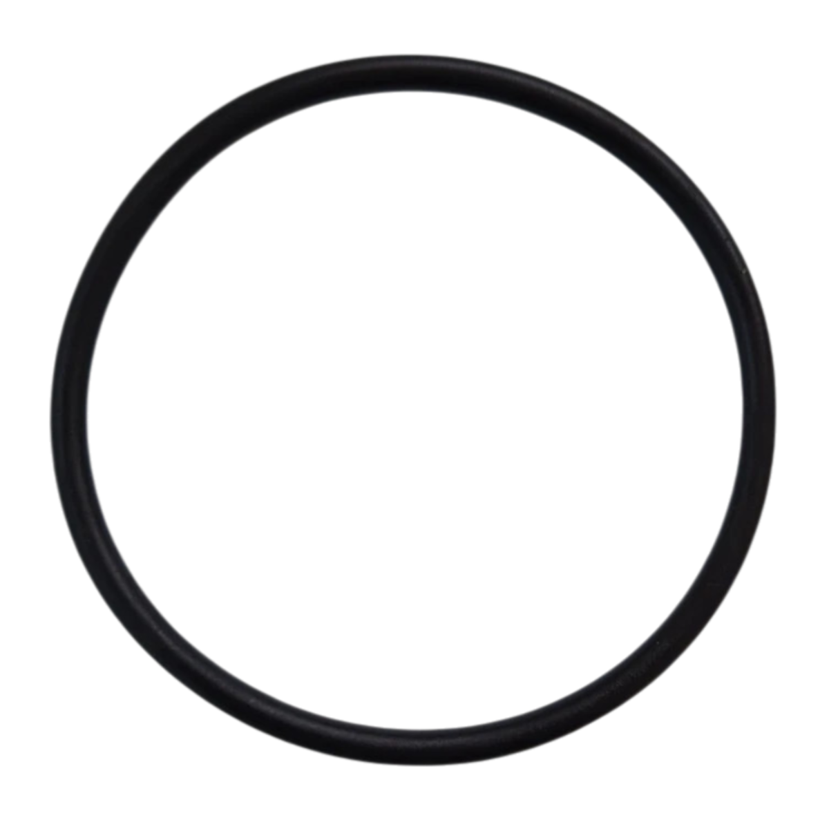 Guarnizione diffusore ricambio per pompe piscina Sta-Rite 5P2R e La Sta-Rite Pentair