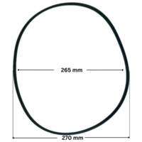 Guarnizione flangia motore ricambio per pompa piscina Challenger Pentair con quote dimensionali: diametro esterno 270 mm e diametro interno 265 mm.