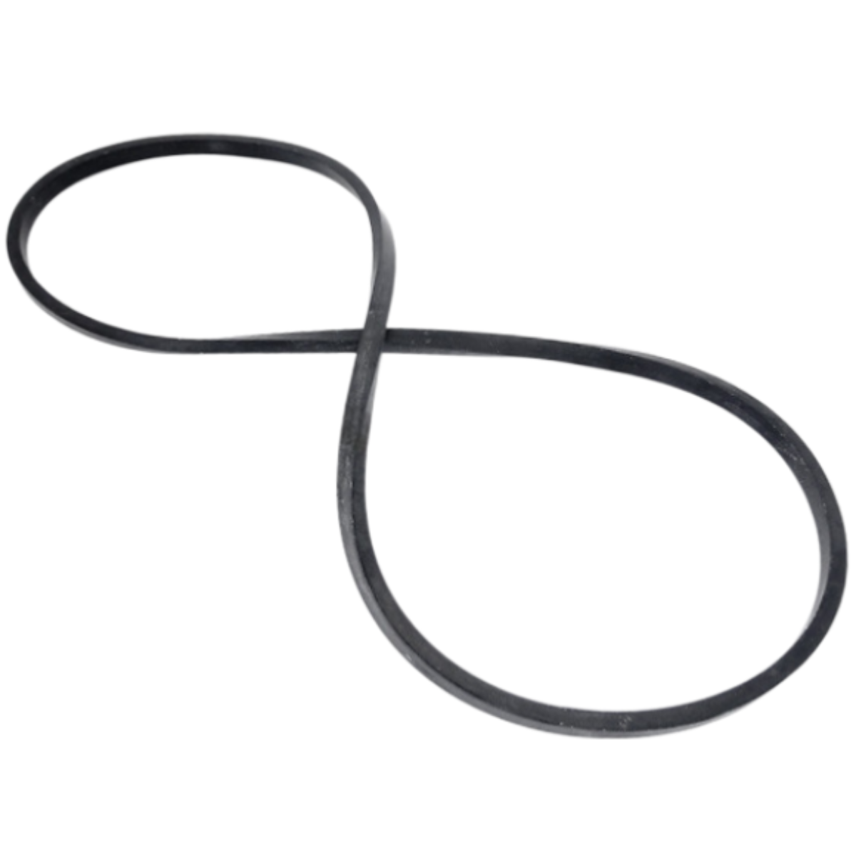 Guarnizione flangia motore ricambio per pompa piscina Challenger Pentair