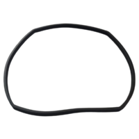 Guarnizione flangia motore ricambio per pompa piscina Glass Plus Astralpool