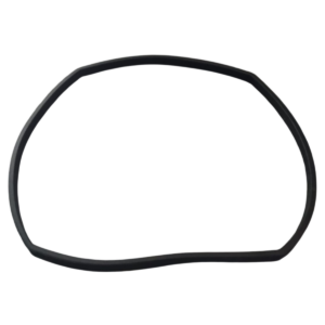 Guarnizione flangia motore ricambio per pompa piscina Glass Plus Astralpool