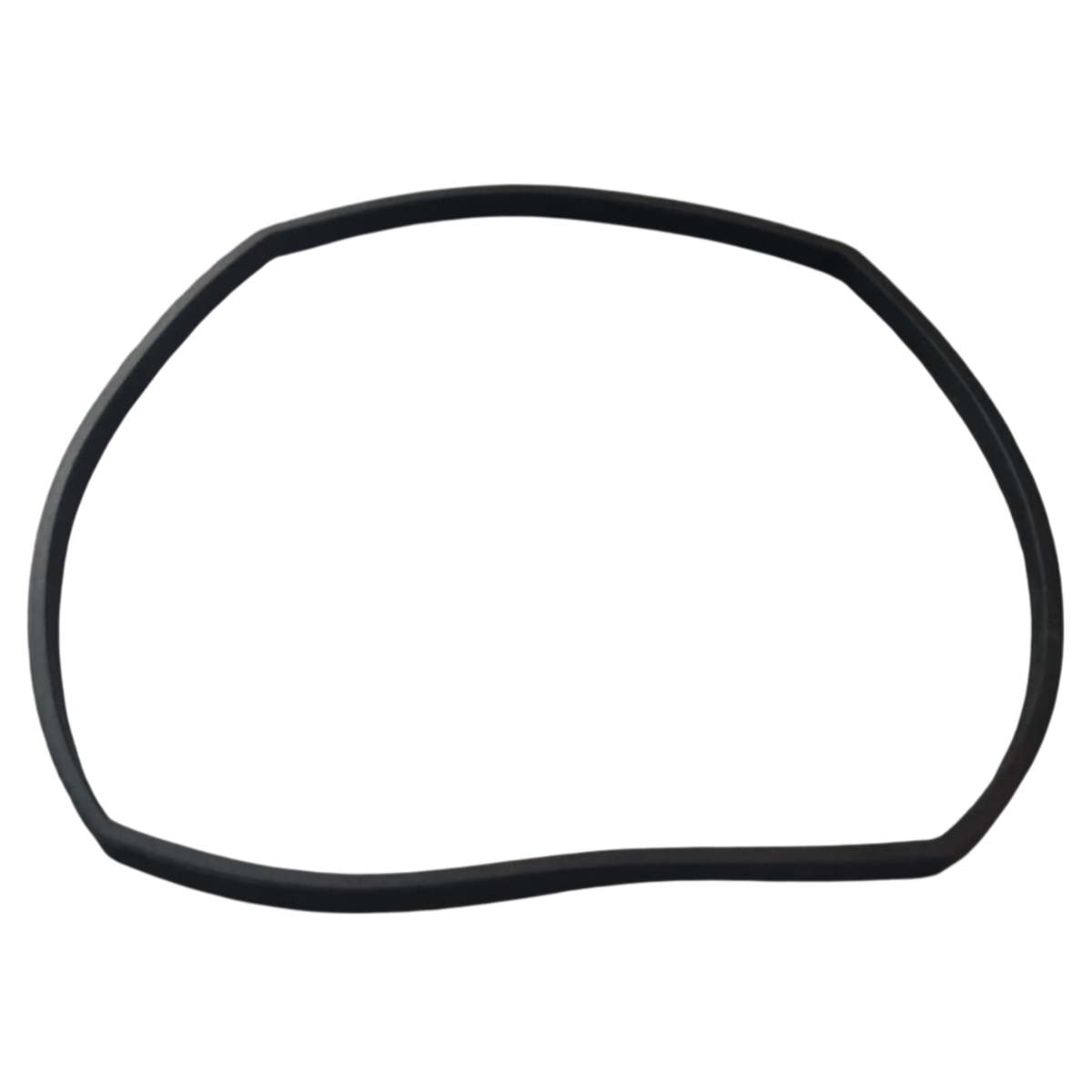 Guarnizione flangia motore ricambio per pompa piscina Glass Plus Astralpool