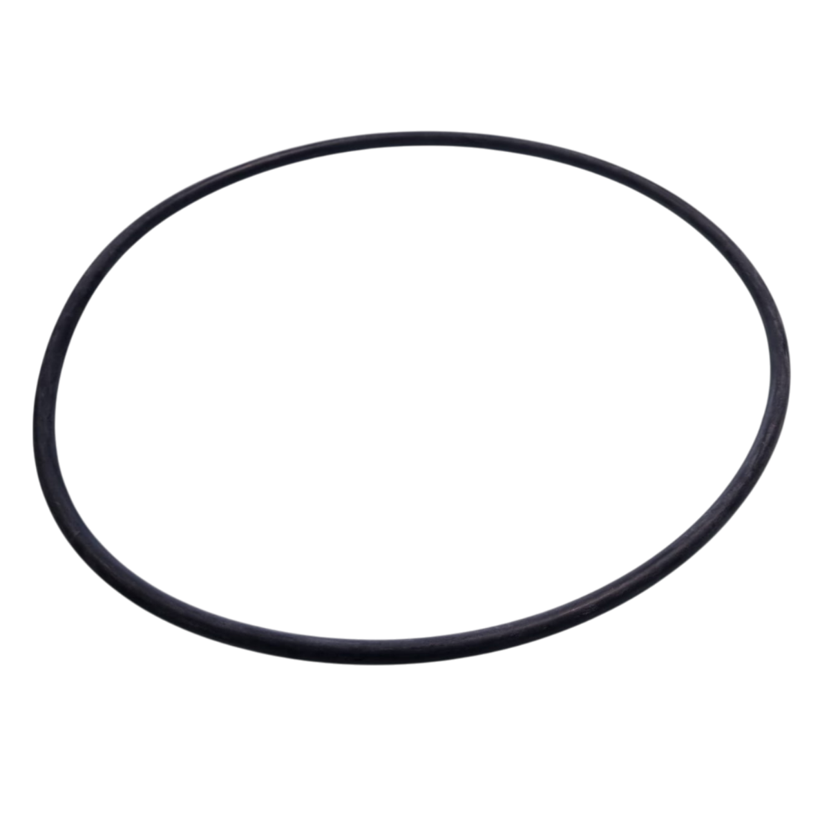 Guarnizione flangia motore ricambio per pompe piscina Sta-Rite 5P2R, Sta-Rite 5P6R, La Sta-Rite e La Sta-Rite HD Pentair