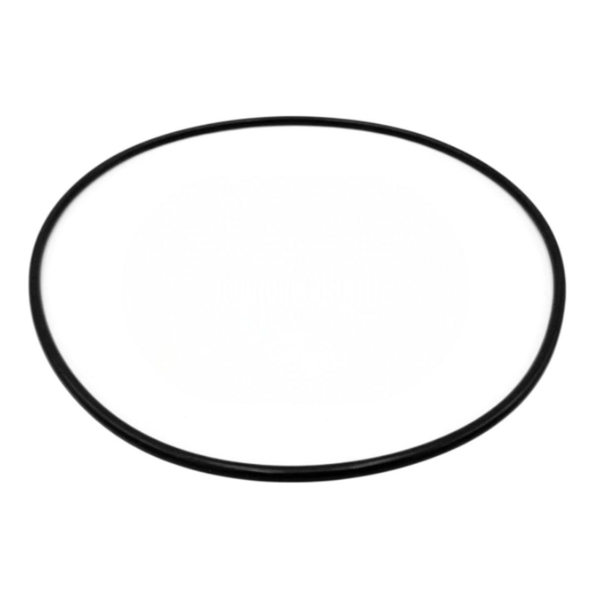 Guarnizione supporto ricambio per pompe piscina Silen2 e Silen S2 Espa