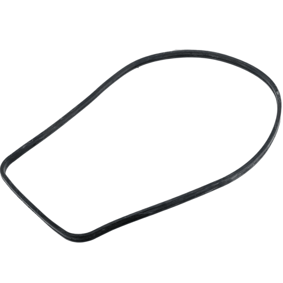 Guarnizione supporto ricambio per pompe piscina Tifon e Tifon 1 Espa