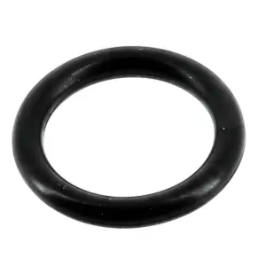 Guarnizione tappo scarico ricambio per pompe piscina Silen2, Silen S2, Tifon e Tifon 1 Espa