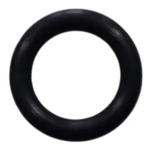Guarnizione vite fissaggio girante ricambio per pompe piscina Silen, Silen2, Silen S, Silen S2, Tifon e Tifon 1 Espa