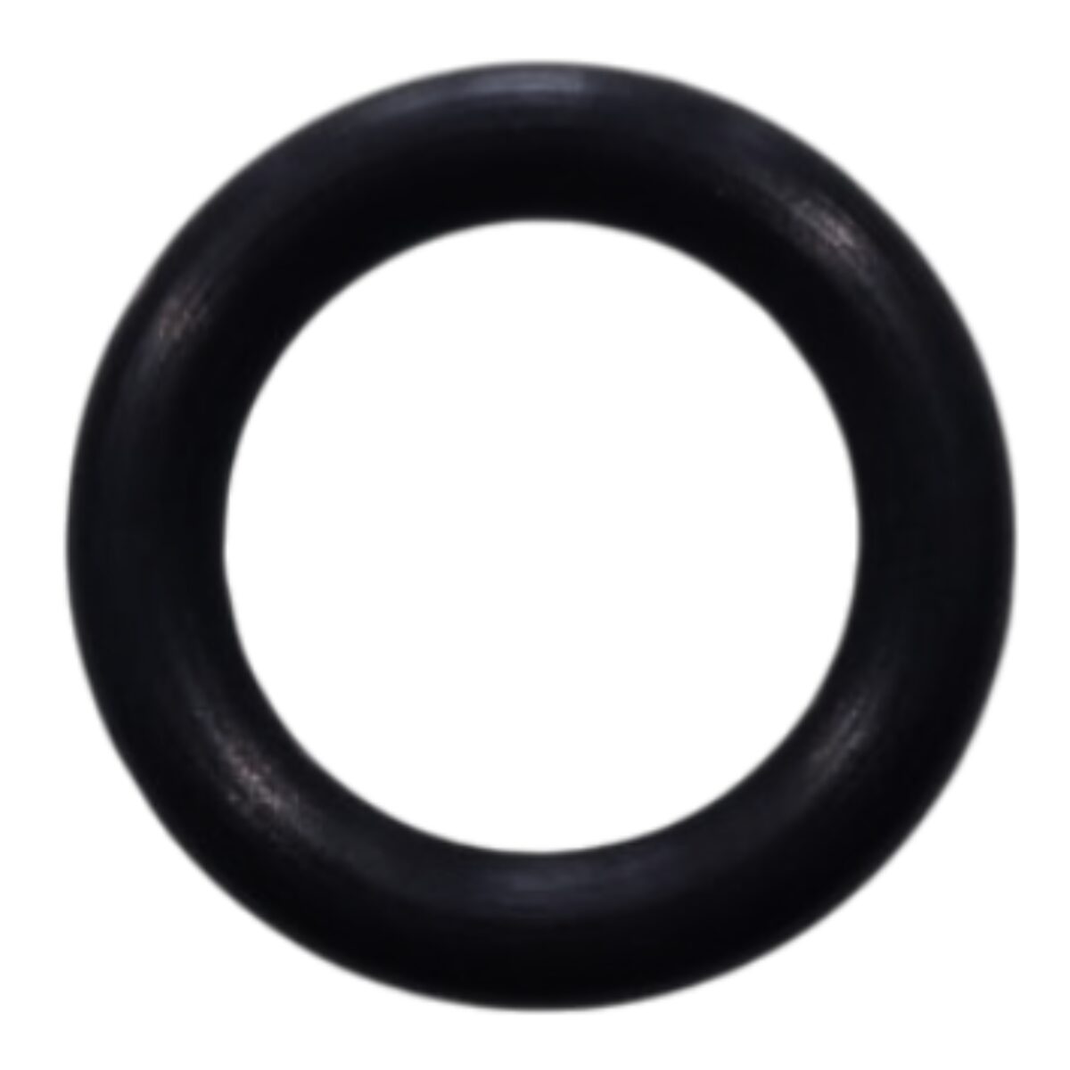 Guarnizione vite fissaggio girante ricambio per pompe piscina Silen, Silen2, Silen S, Silen S2, Tifon e Tifon 1 Espa