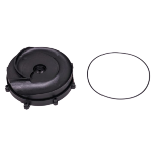 Kit composto da flangia motore e guarnizione ricambio per pompa piscina Big Discovery Astralpool