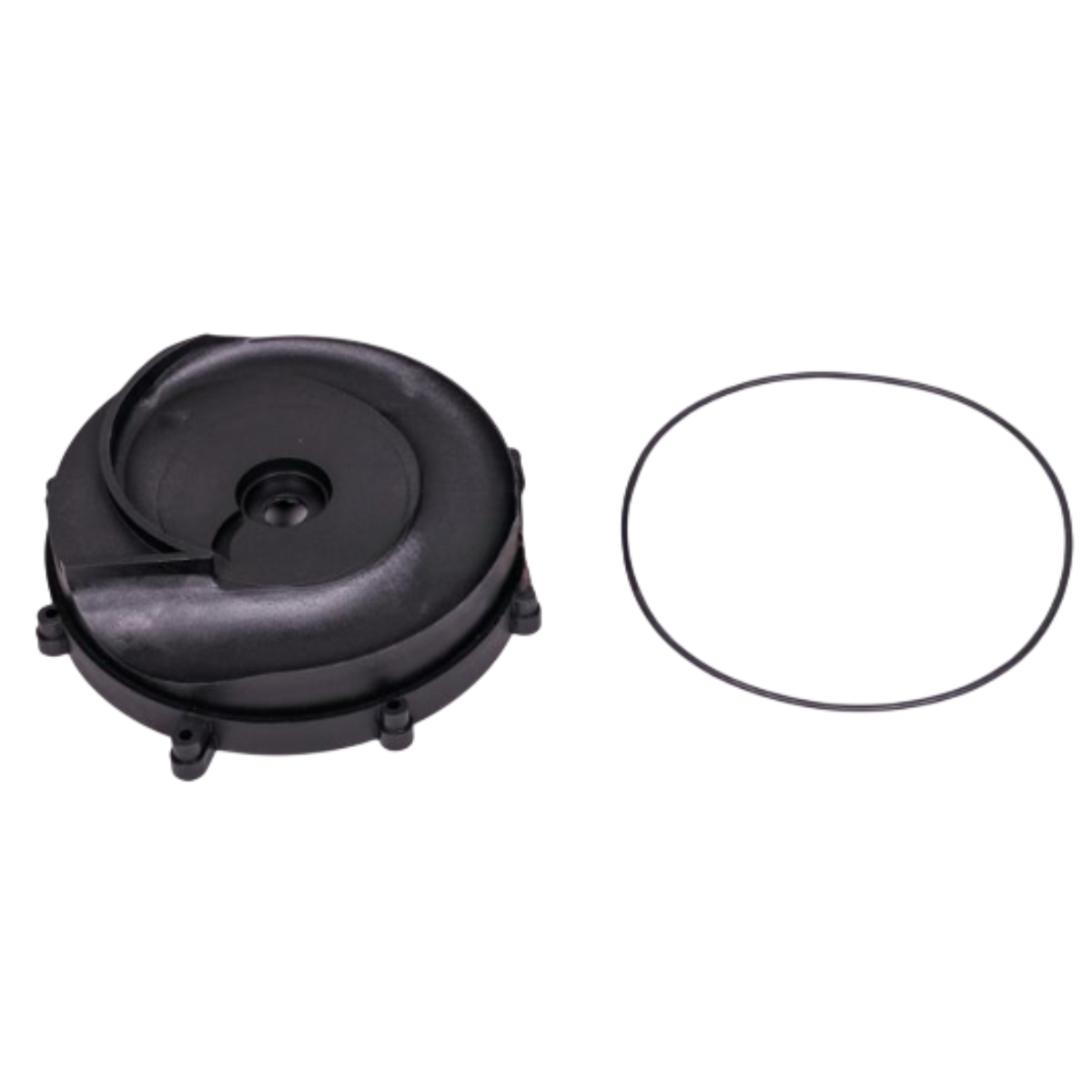 Kit composto da flangia motore e guarnizione ricambio per pompa piscina Big Discovery Astralpool