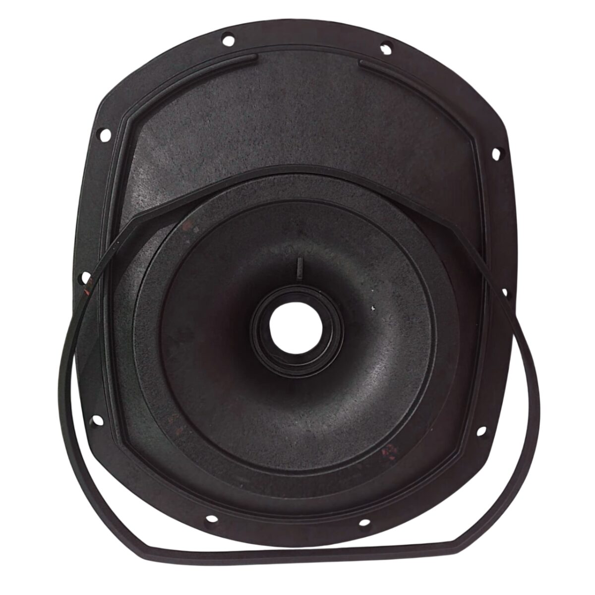 Kit composto da flangia motore e guarnizione ricambio per pompa piscina Glass Plus Astralpool per modelli AGP 110 DOLL