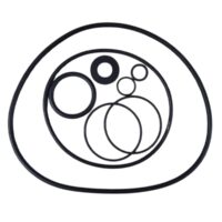 Kit guarnizioni ricambio per pompa piscina Sena Astralpool