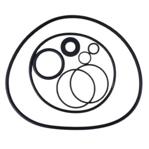 Kit guarnizioni ricambio per pompa piscina Sena Astralpool