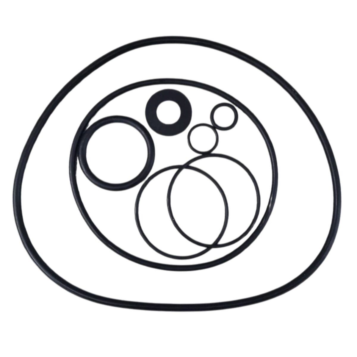 Kit guarnizioni ricambio per pompa piscina Sena Astralpool