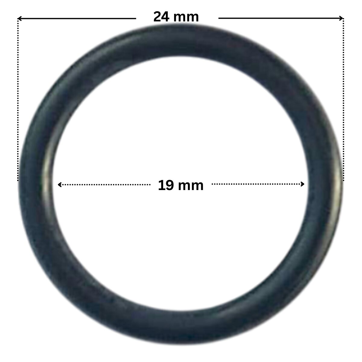 Guarnizione del tappo scarico ricambio per pompa piscina Nocchi Swimmey Pentair con quote dimensionali: diametro interno 19 mm e diametro esterno 24 mm.