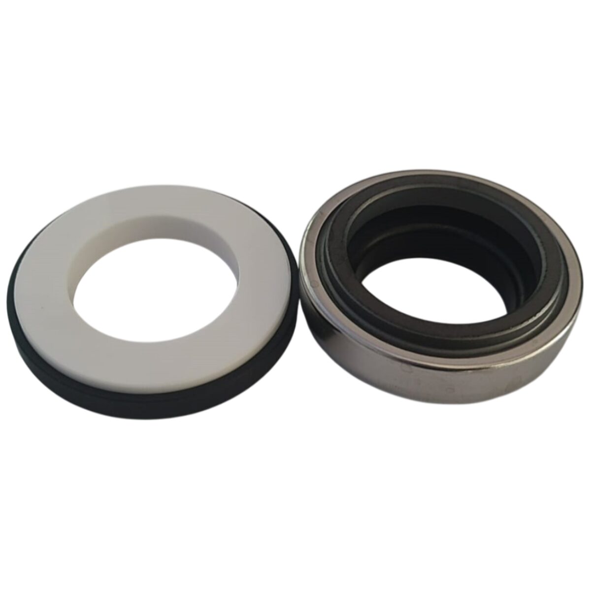 Tenuta meccanica ricambio per pompa piscina Maxim Astralpool