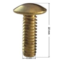 Viti fissaggio girante ricambio per pompe piscina Sta-Rite 5P2R e La Sta-Rite Pentair con quote dimensionali: diametro esterno della filettatura 5 mm e lunghezza totale esterna 22 mm.