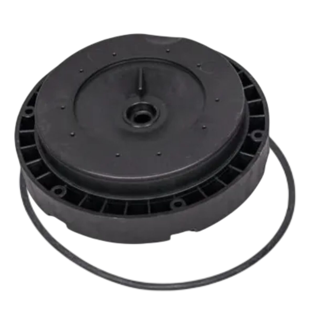 Flangia motore ricambio per pompa piscina Victoria Plus Silent Astralpool