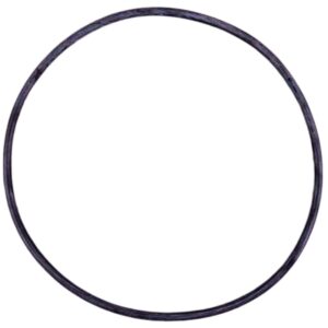 Guarnizione flangia motore ricambio per pompa piscina Victoria Plus Silent Astralpool